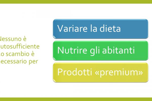 diapositiva349ab67c57-cf26-f7a1-fccd-b60545b773bfC4EFD357-DC12-81A2-767E-A5924AAAD9D3.jpg