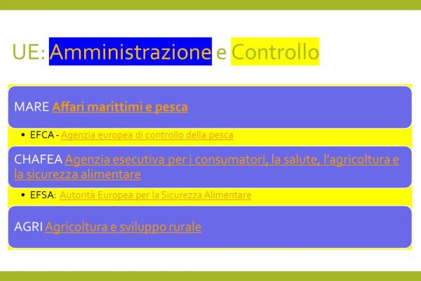 diapositiva36541454fe-0e7e-e139-81bc-9934f5ad59914DCE6DF3-DA2A-A1EF-E377-641DE2258C34.jpg